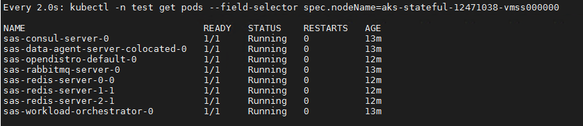 MG_1_5_202405_test4-stateful-node-pods.png